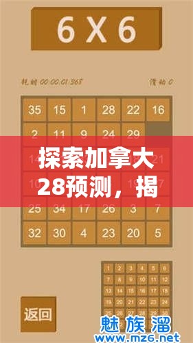 探索加拿大28预测，揭秘数字游戏的奥秘与挑战