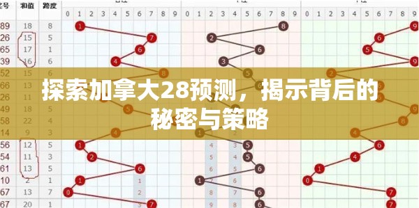 探索加拿大28预测，揭示背后的秘密与策略