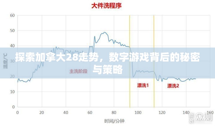 探索加拿大28走势，数字游戏背后的秘密与策略