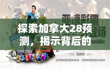 探索加拿大28预测，揭示背后的秘密与策略