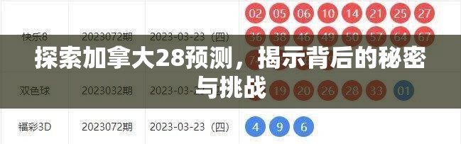 探索加拿大28预测，揭示背后的秘密与挑战