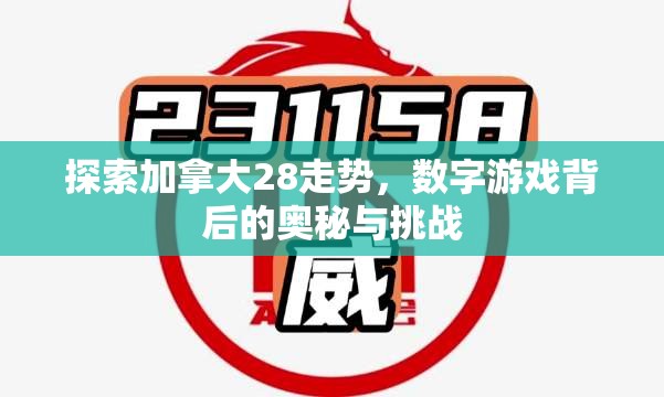 加拿大28开奖，魅力与神秘