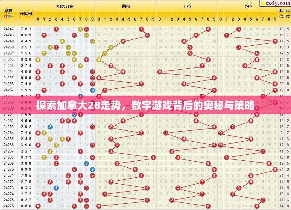 加拿大28开奖，运气与策略的双重考验