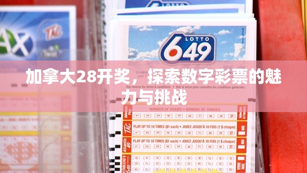 加拿大28开奖，探索数字彩票的魅力与挑战