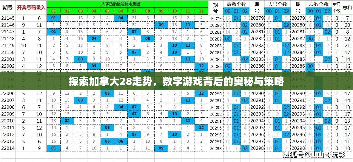 探索加拿大28走势，数字游戏背后的奥秘与策略