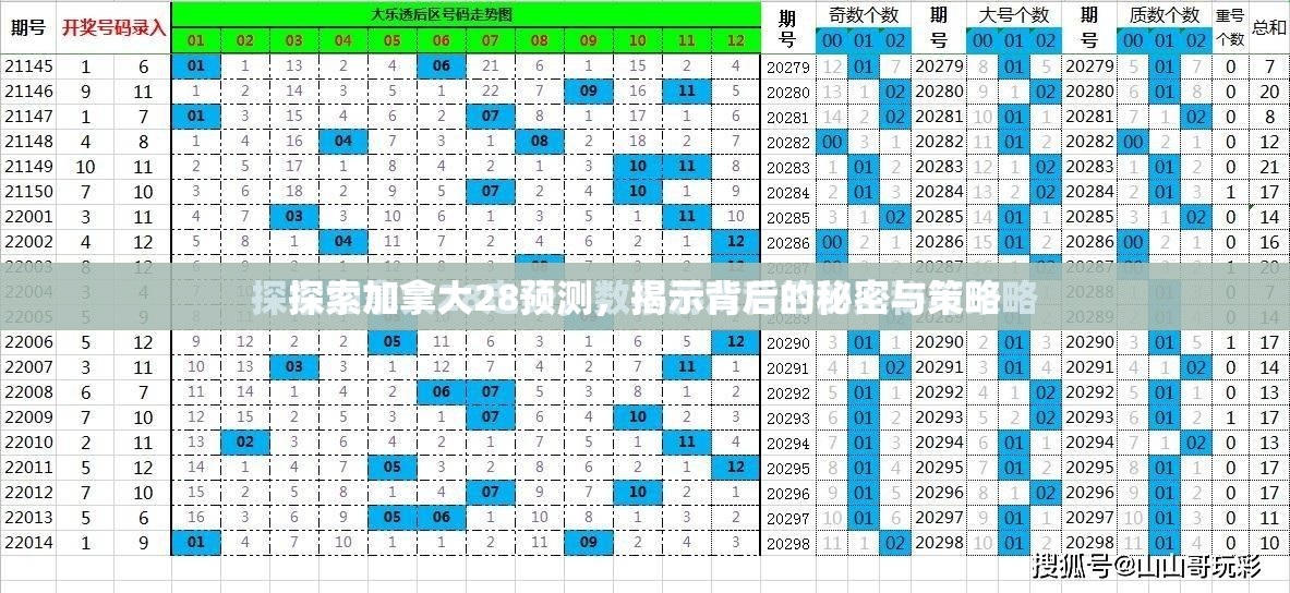 探索加拿大28预测，揭示背后的秘密与策略