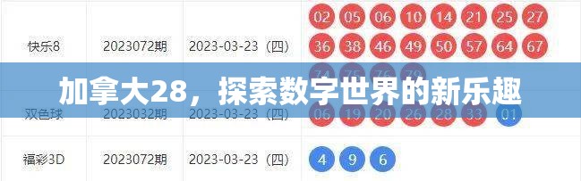 加拿大28，探索数字世界的新乐趣
