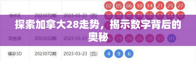 探索加拿大28走势，揭示数字背后的奥秘