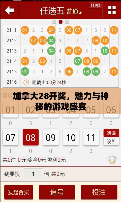 加拿大28开奖，魅力与神秘的游戏盛宴