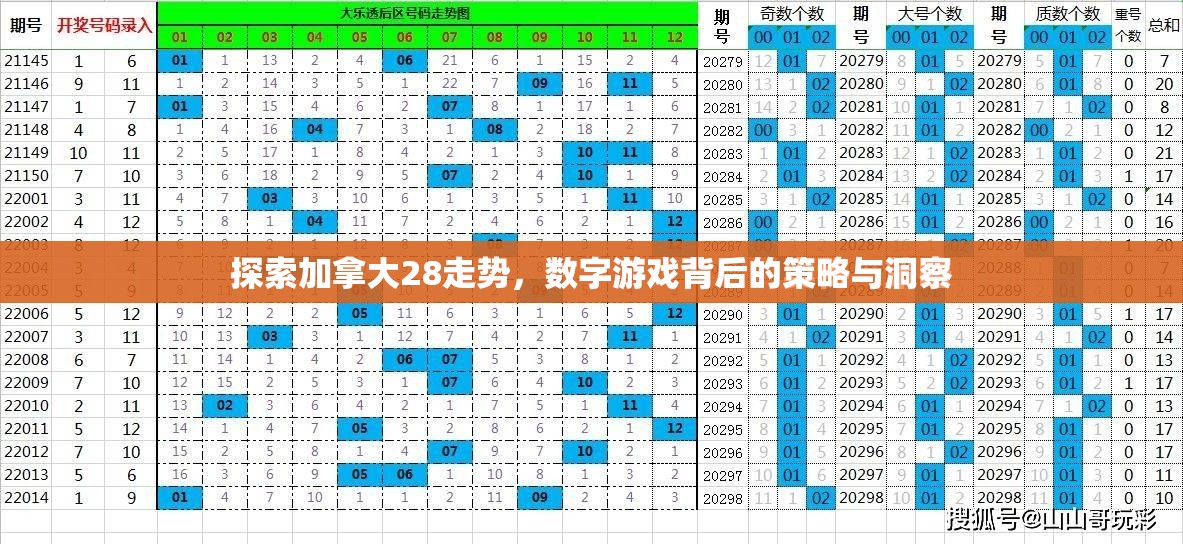 探索加拿大28走势，数字游戏背后的策略与洞察