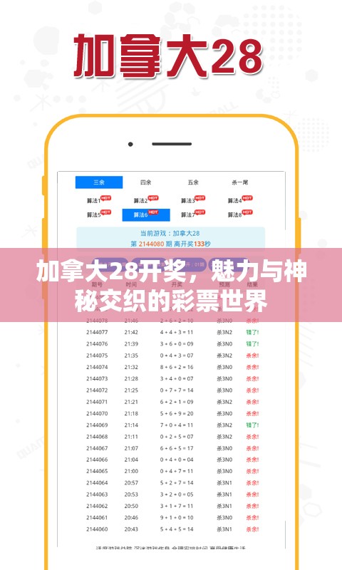 加拿大28开奖，魅力与神秘交织的彩票世界