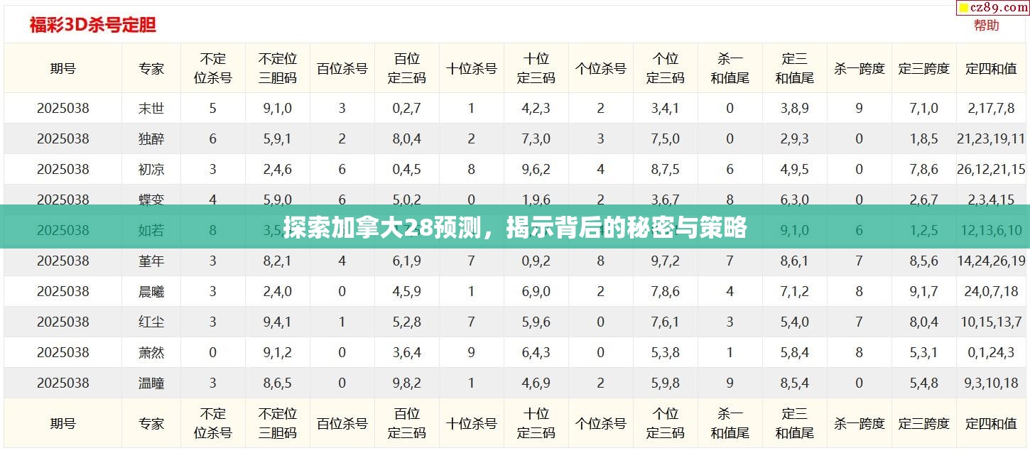 探索加拿大28预测，揭示背后的秘密与策略