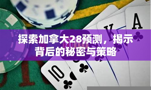 探索加拿大28预测，揭示背后的秘密与策略