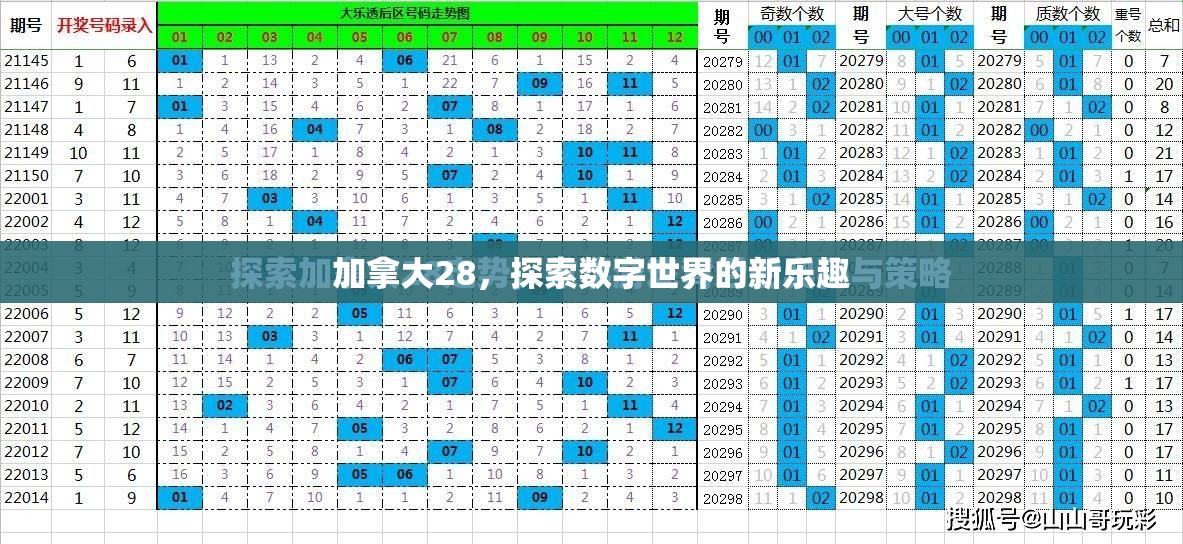 加拿大28，探索数字世界的新乐趣