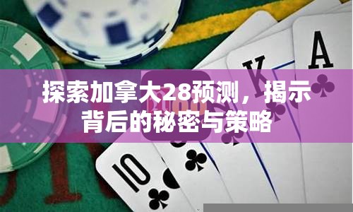 探索加拿大28预测，揭示背后的秘密与策略