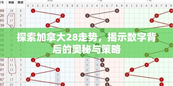 探索加拿大28走势，揭示数字背后的奥秘与策略