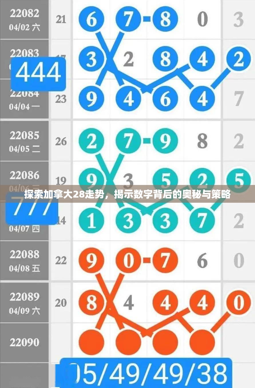 探索加拿大28走势，揭示数字背后的奥秘与策略