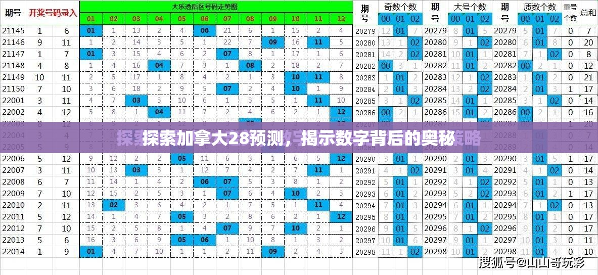 探索加拿大28预测，揭示数字背后的奥秘