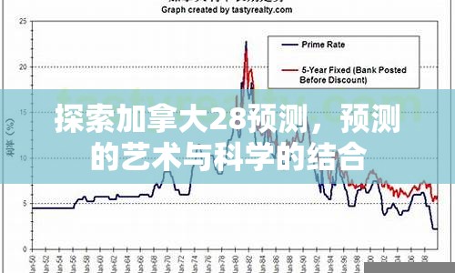 探索加拿大28预测，预测的艺术与科学的结合