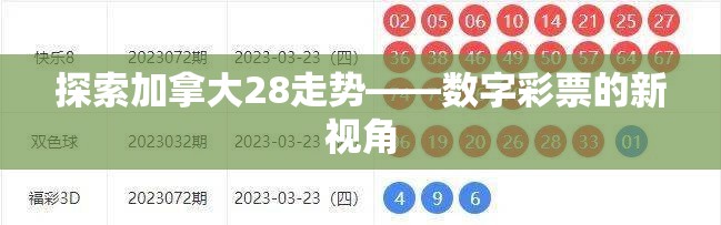 探索加拿大28走势——数字彩票的新视角