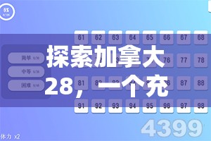 探索加拿大28，一个充满魅力的数字世界