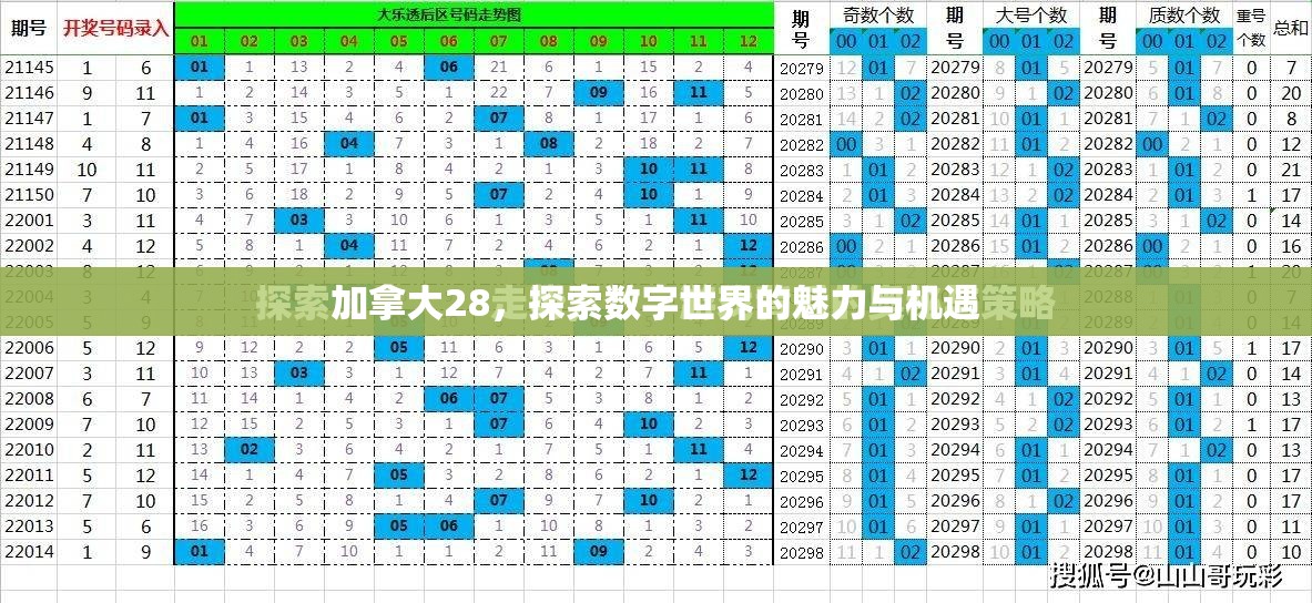 加拿大28，探索数字世界的魅力与机遇