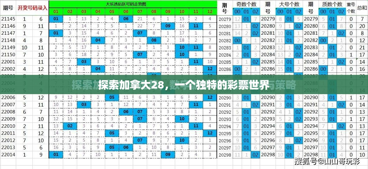 探索加拿大28，一个独特的彩票世界