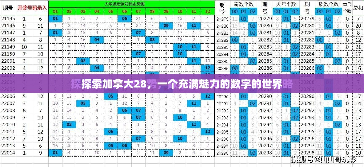 探索加拿大28，一个充满魅力的数字的世界