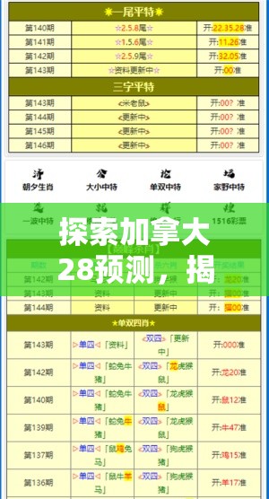 探索加拿大28预测，揭示未来的可能性与挑战